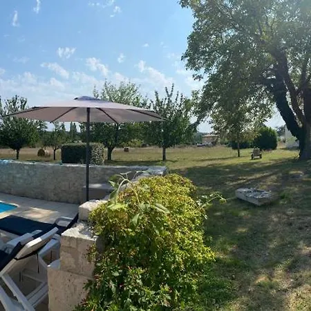 Petit Rousset Cerise 埃梅