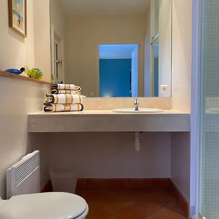 Petit Rousset Cerise 公寓 *